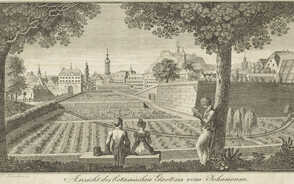 Museum Item Image